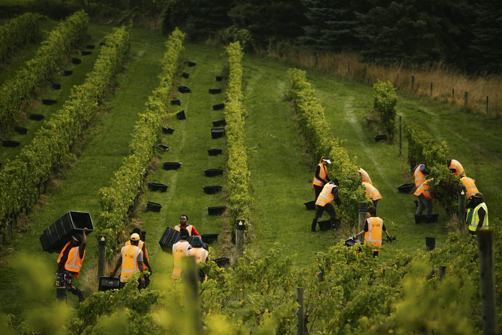 NZ-Credit-Misty-Cove-e1606438516302